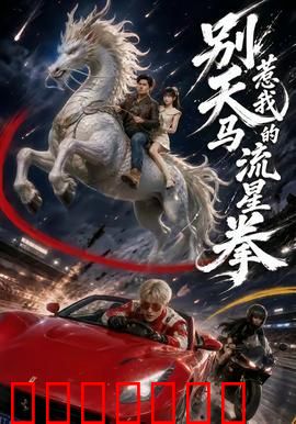 别惹我的天马流星拳