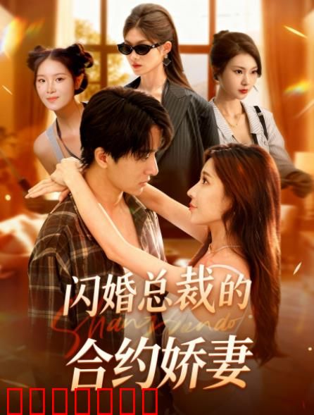 闪婚总裁契约妻